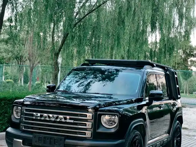 HAVAL RAPTORS NEW ENERGY