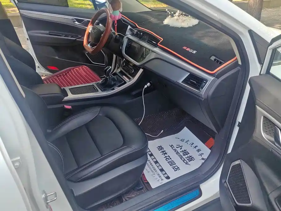 Geely Emgrand GS — миниатюра 8