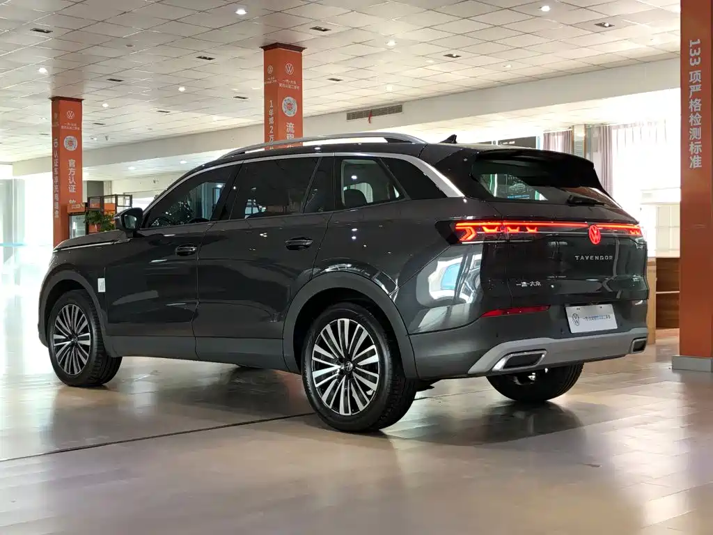 Volkswagen Tavendor — миниатюра 10