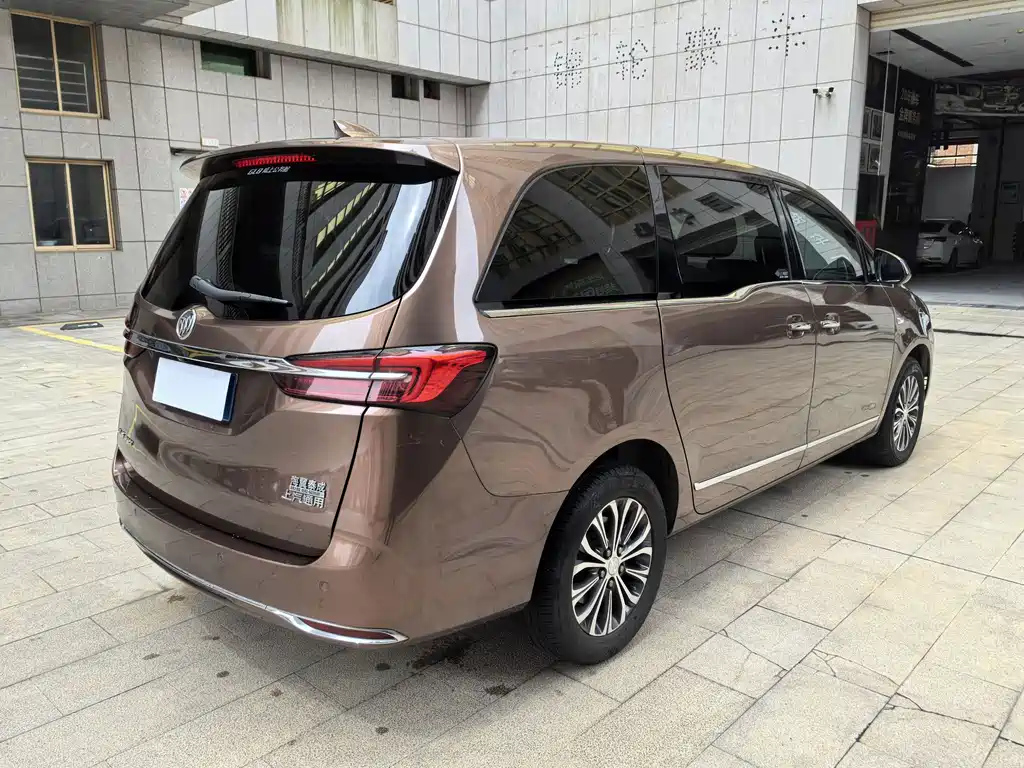 Buick GL8 — миниатюра 8
