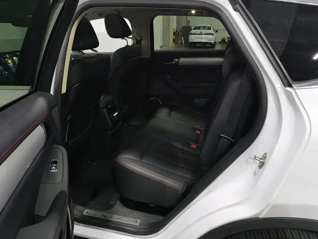 BYD Tang New Energy — миниатюра 15