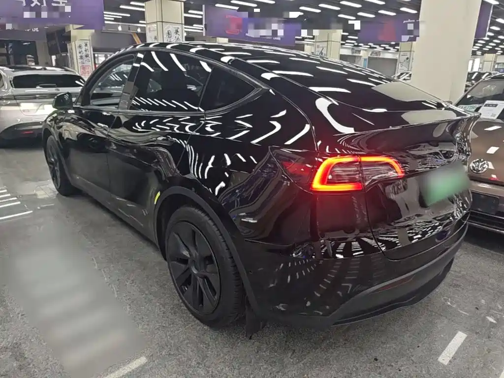 Tesla Model Y — миниатюра 5
