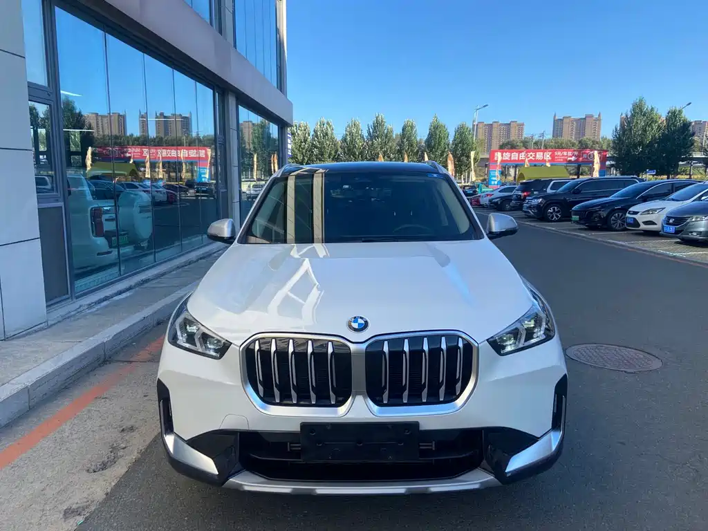 BMW X1 — миниатюра 2