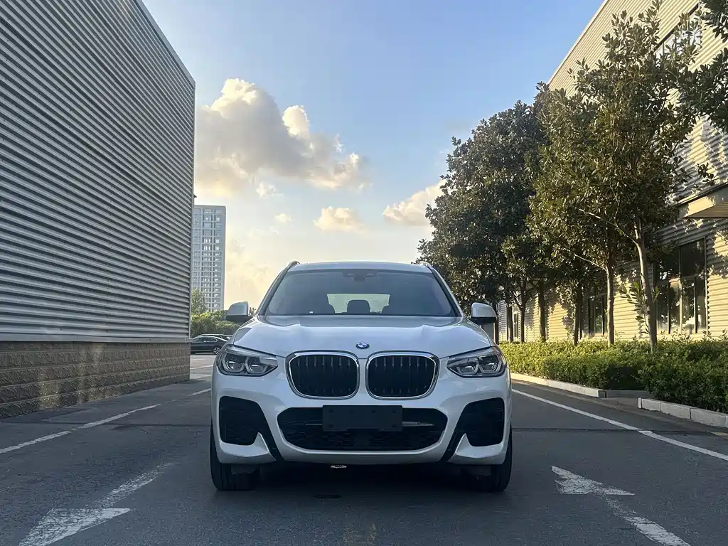 BMW X3 — миниатюра 6