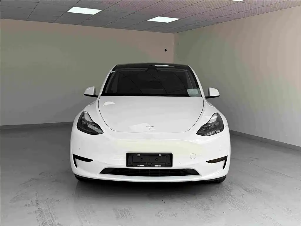 Tesla Model Y — миниатюра 2