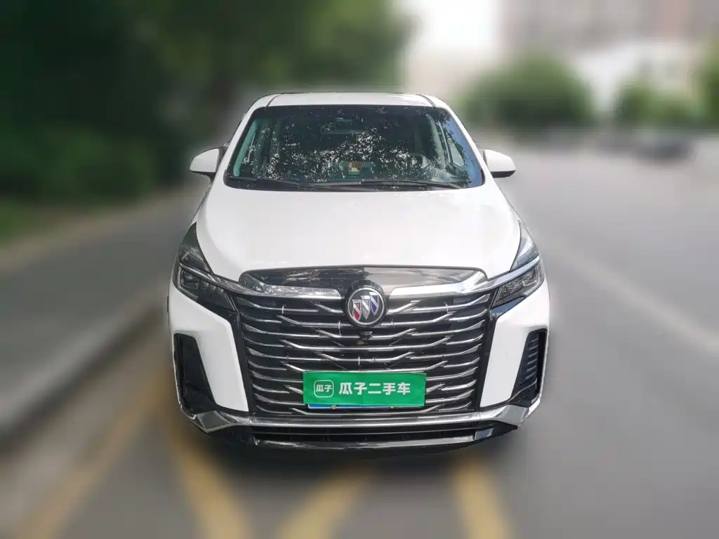 Buick GL8 — миниатюра 23