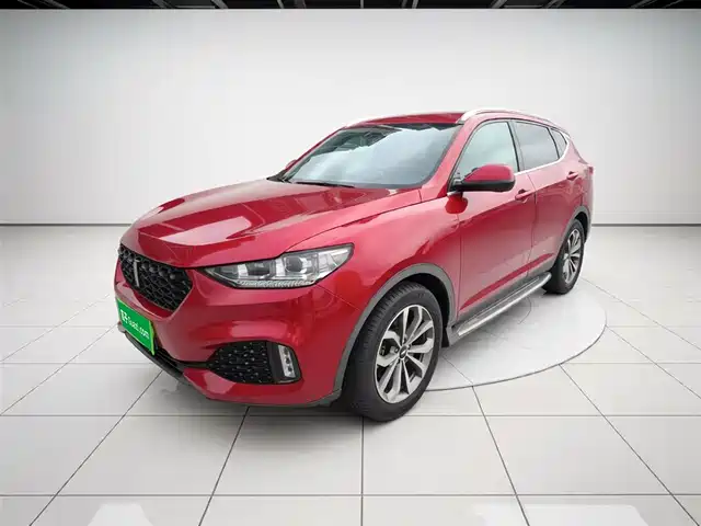 2019 Wey VV6