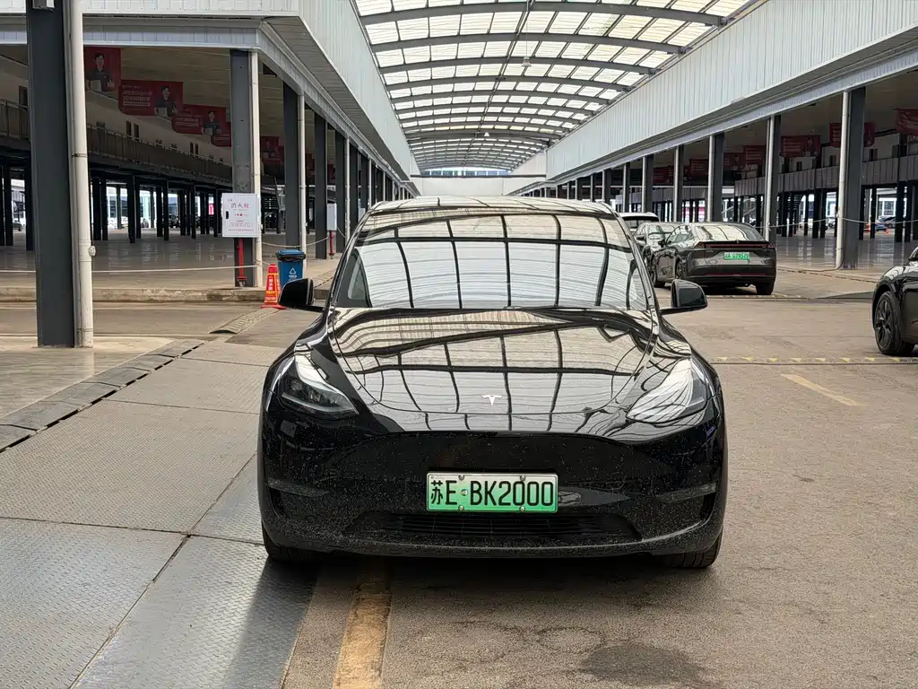 Tesla Model Y — миниатюра 2