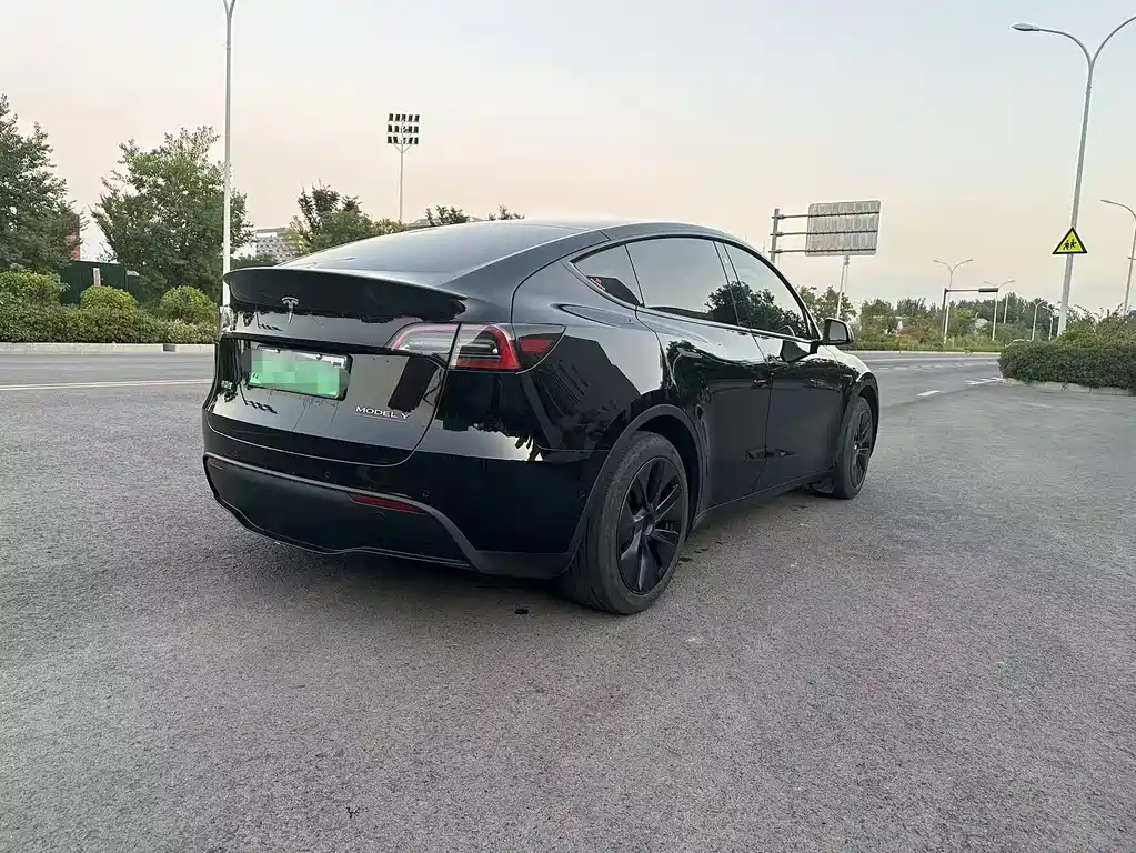 Tesla Model Y — миниатюра 6