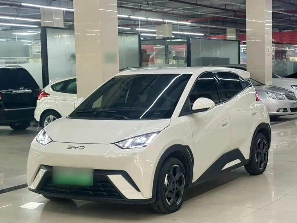BYD Seagull