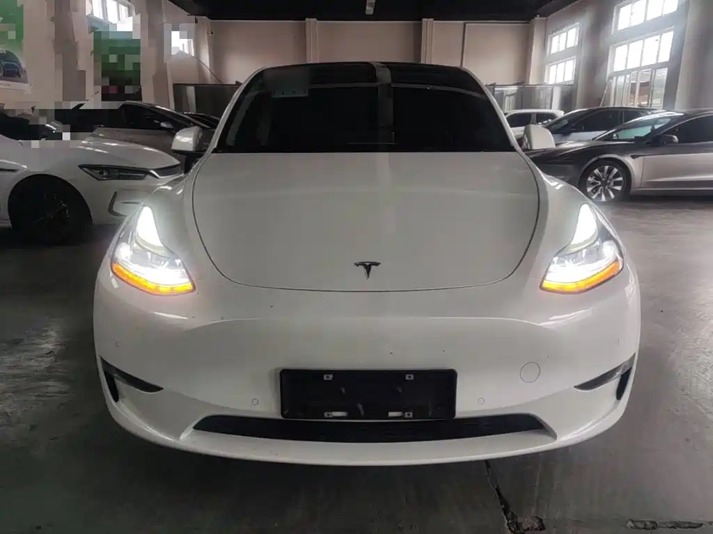Tesla Model Y — миниатюра 3