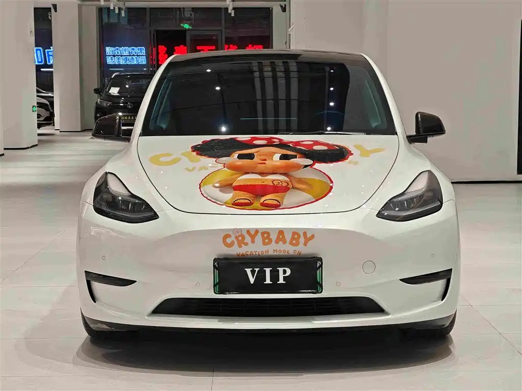 Tesla Model Y — миниатюра 3