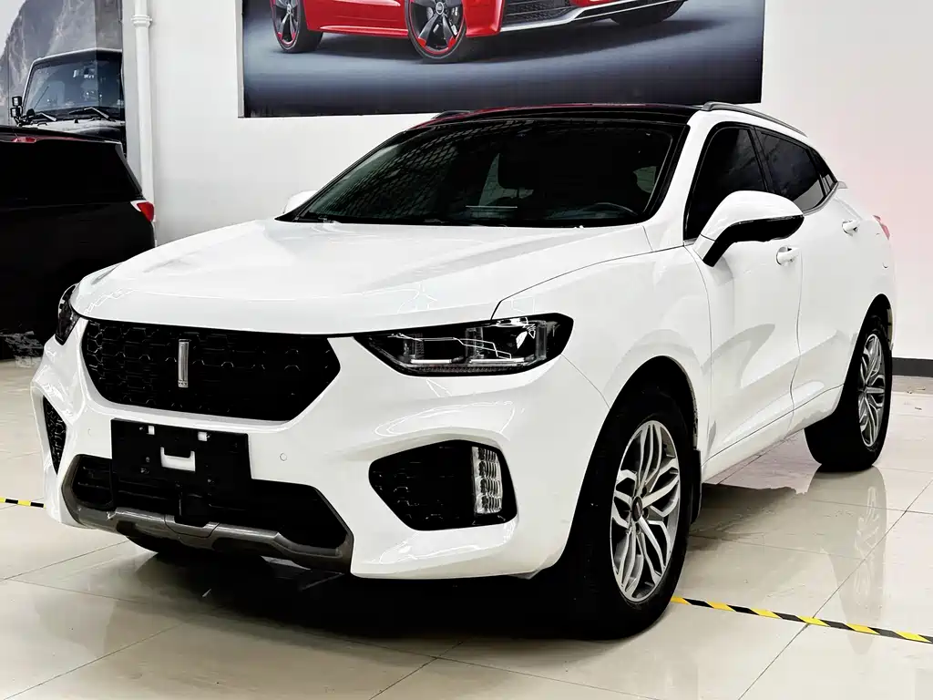 WEI PAI WEI BRAND VV5