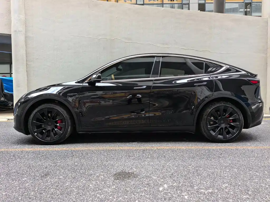 Tesla Model Y — миниатюра 3