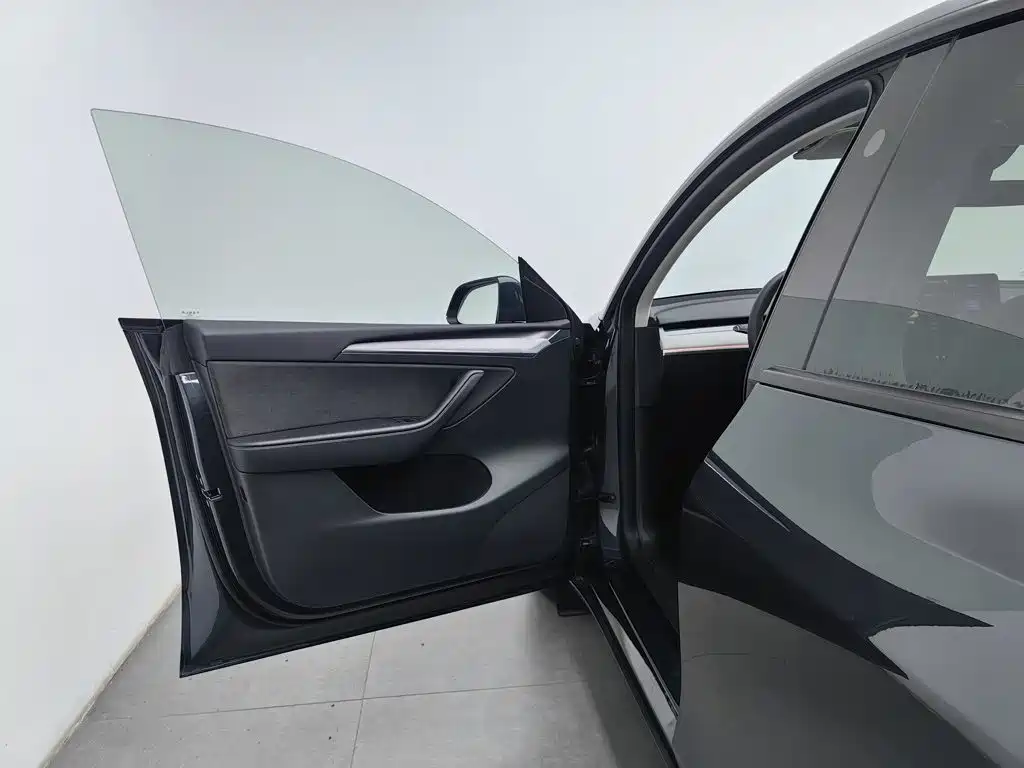 Tesla Model Y — миниатюра 8