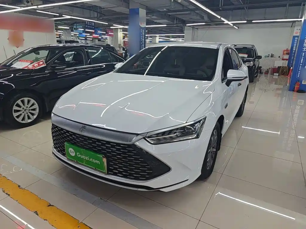 BYD Qin Plus PLUS 2024 DM-i 55KM Lead