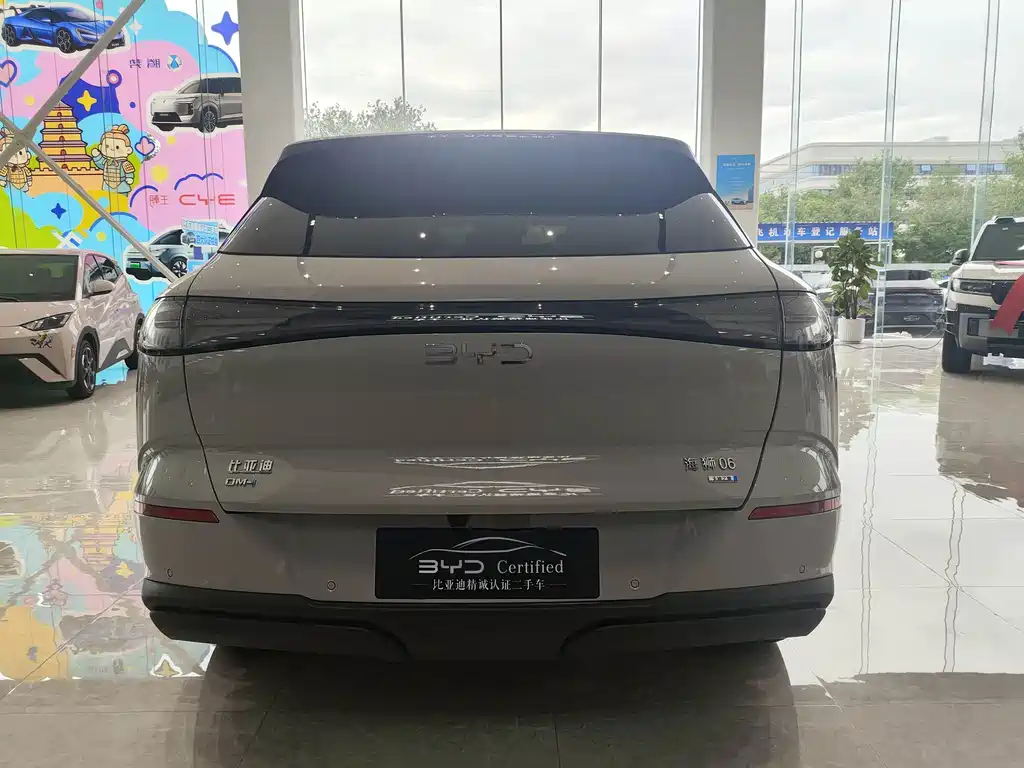 BYD Haisi 06 — миниатюра 6