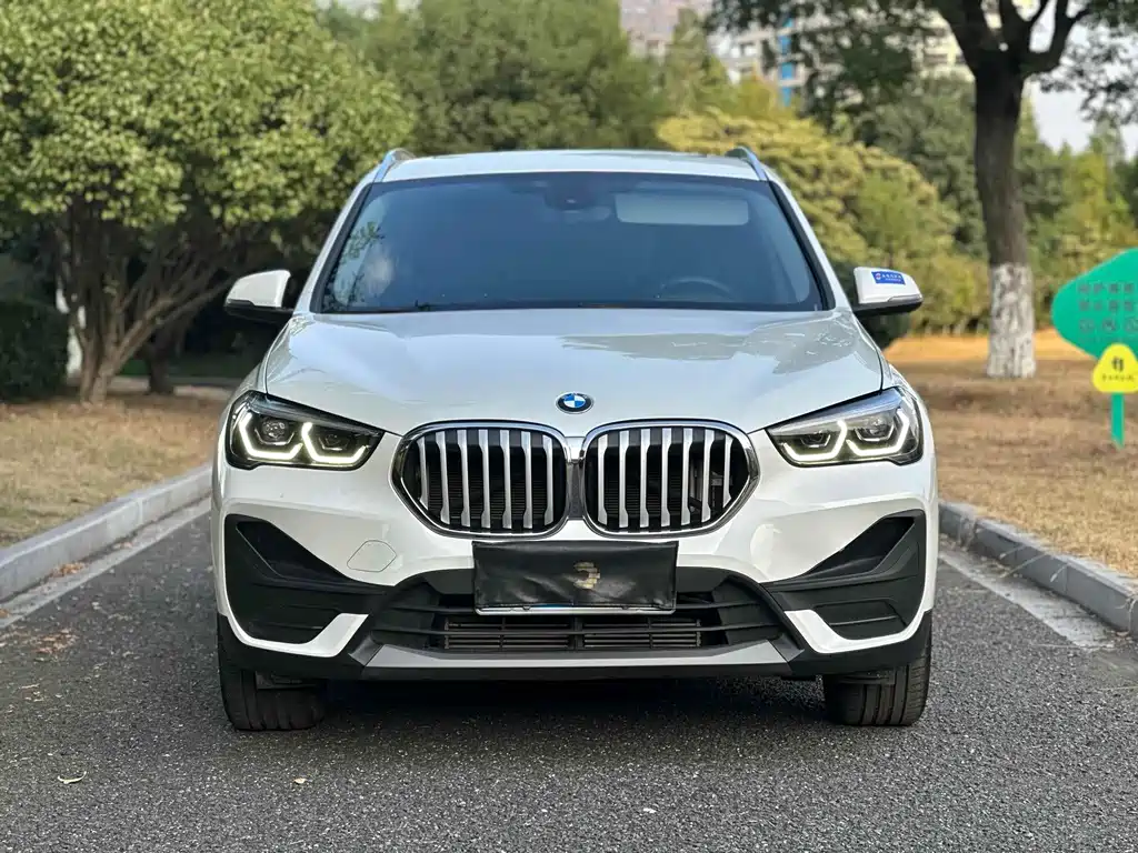 BMW X1 — миниатюра 2