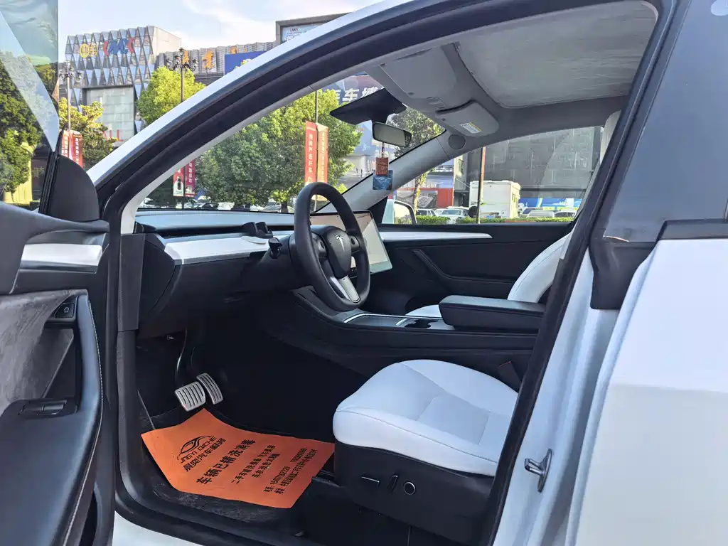 Tesla Model Y — миниатюра 4