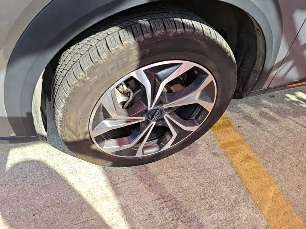 Haval Shenshou — миниатюра 23