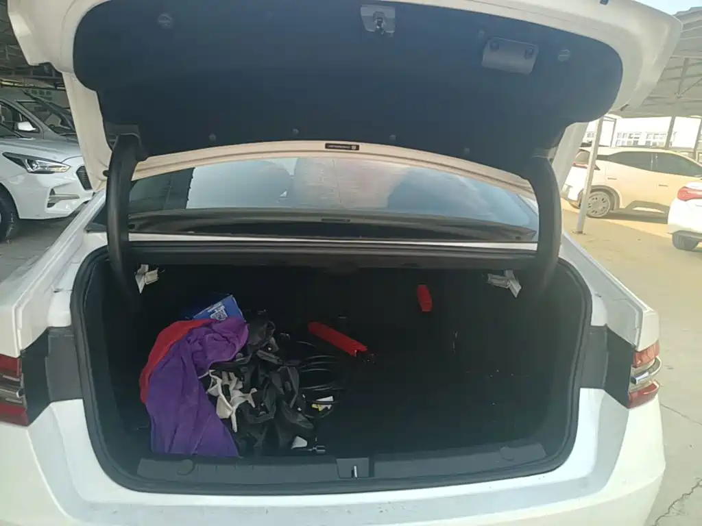 BYD Qin Pro NEV — миниатюра 19