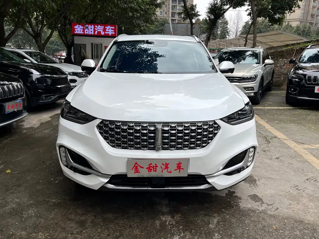 WEI PAI WEI BRAND VV6