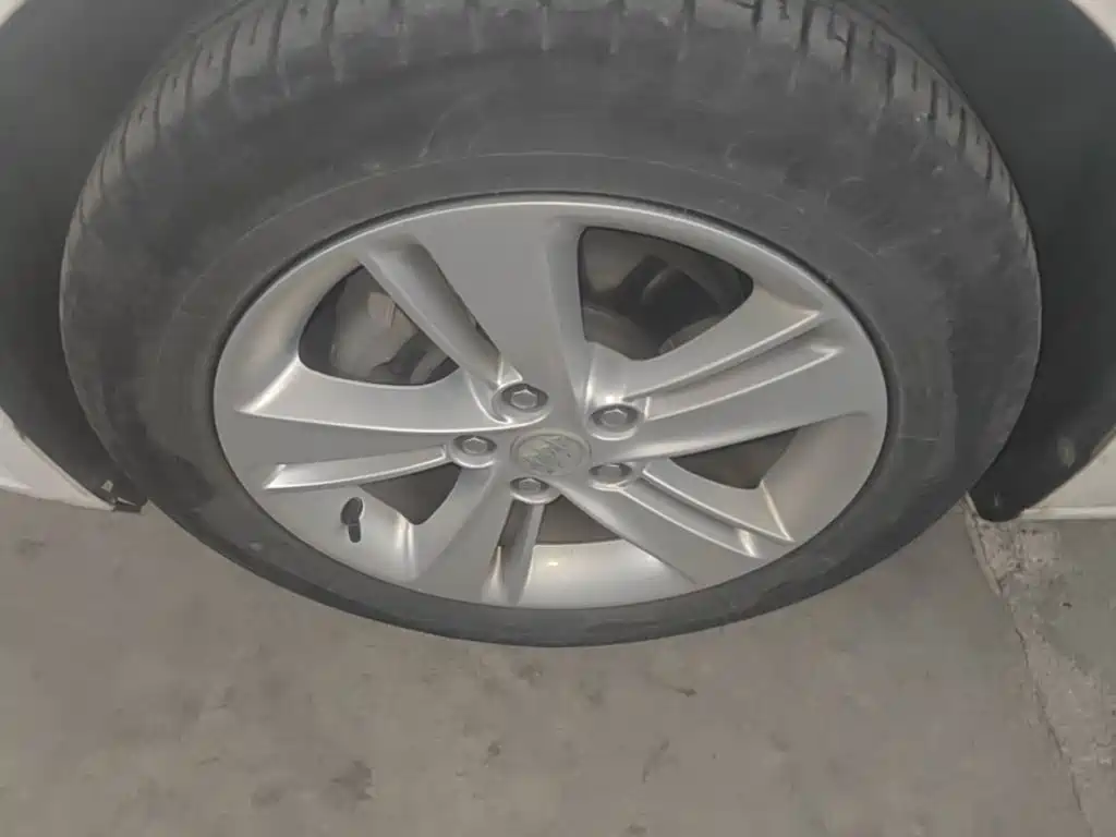 Buick Regal — миниатюра 23