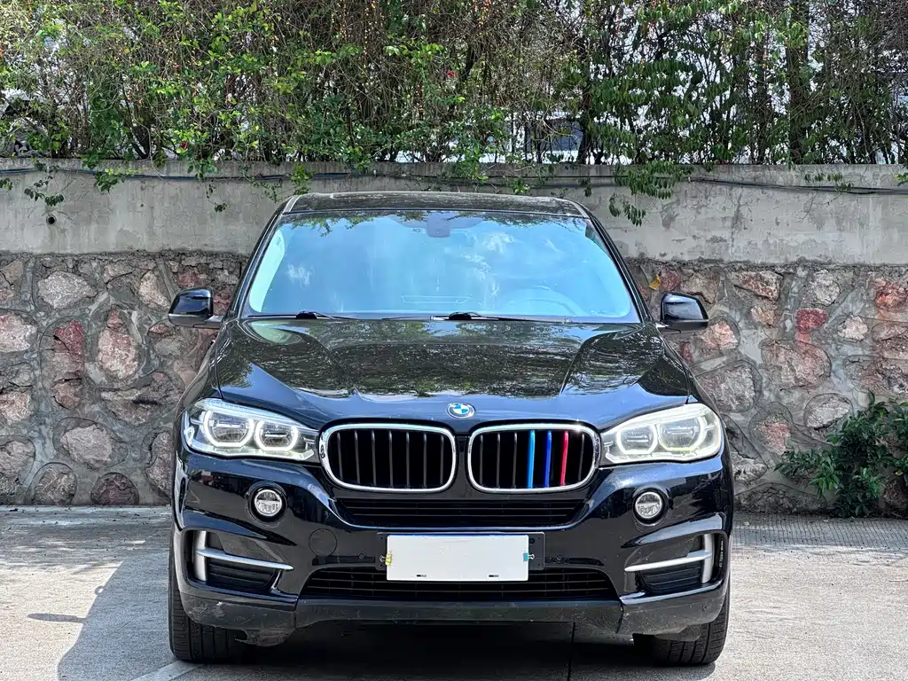 BMW X5 2014 xDrive35i Lead