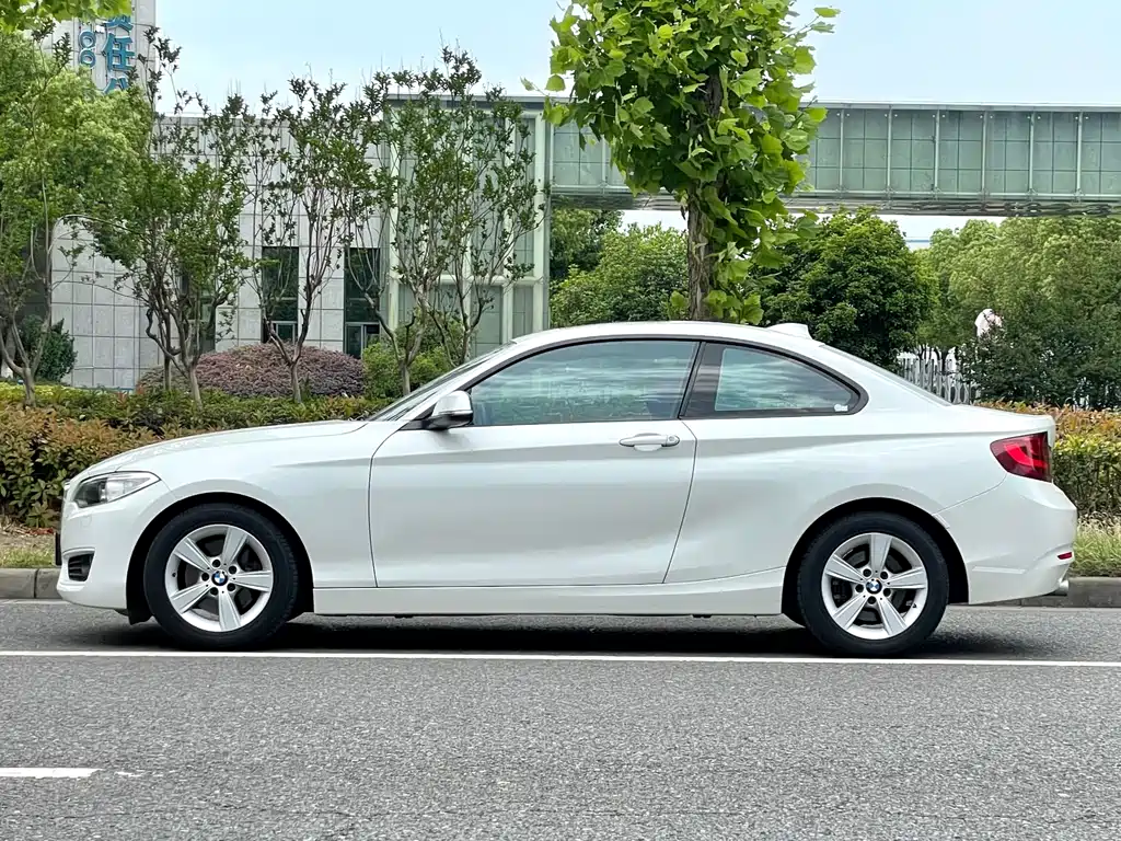 BMW 2 Series 2 2014 220i Lead