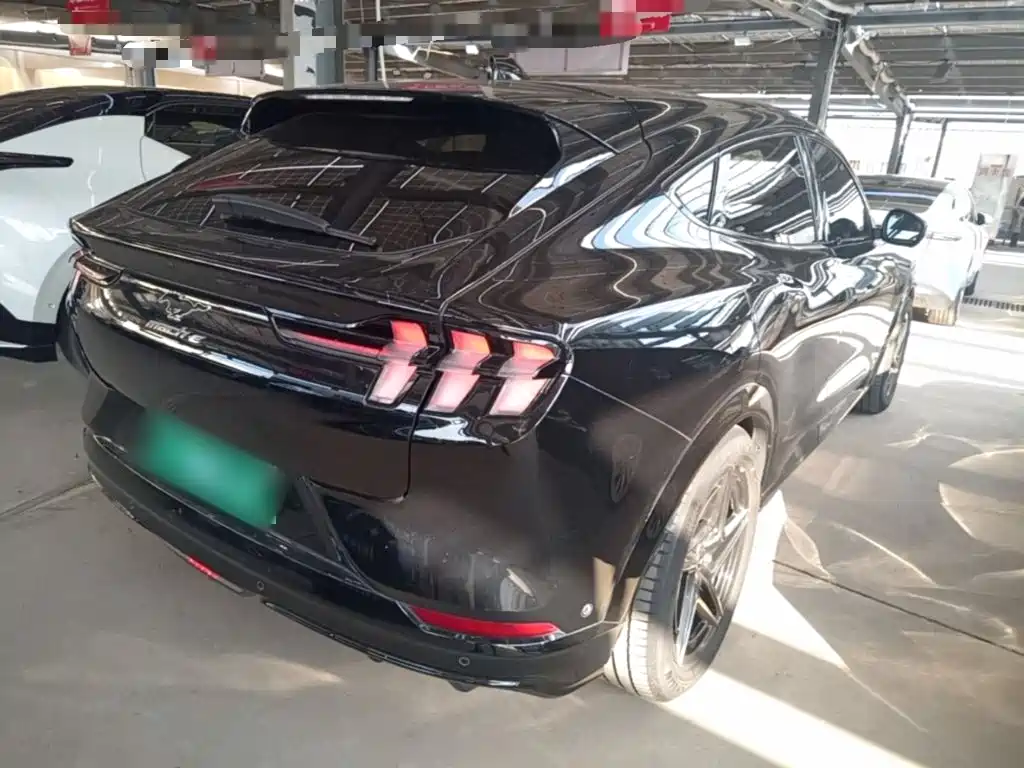 Ford Mustang Mach-E — миниатюра 7
