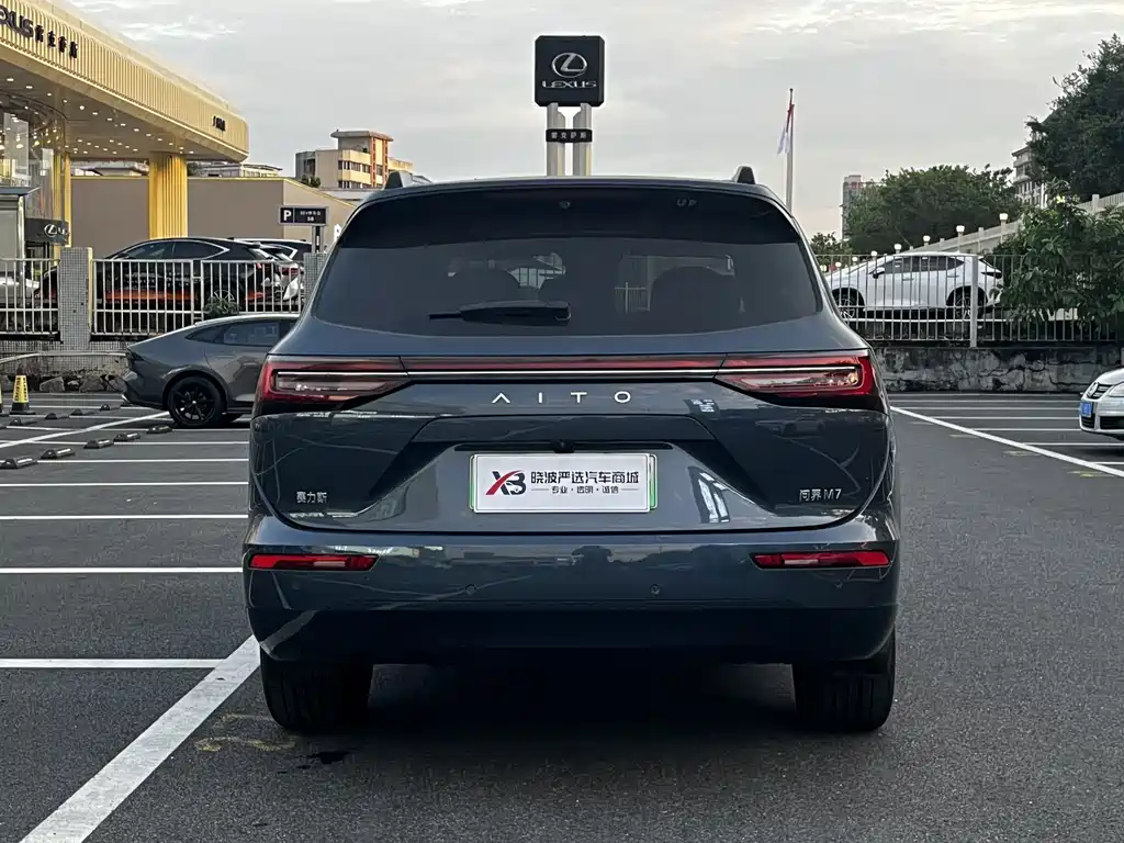 AITO Wenjie AITO M7 — миниатюра 5