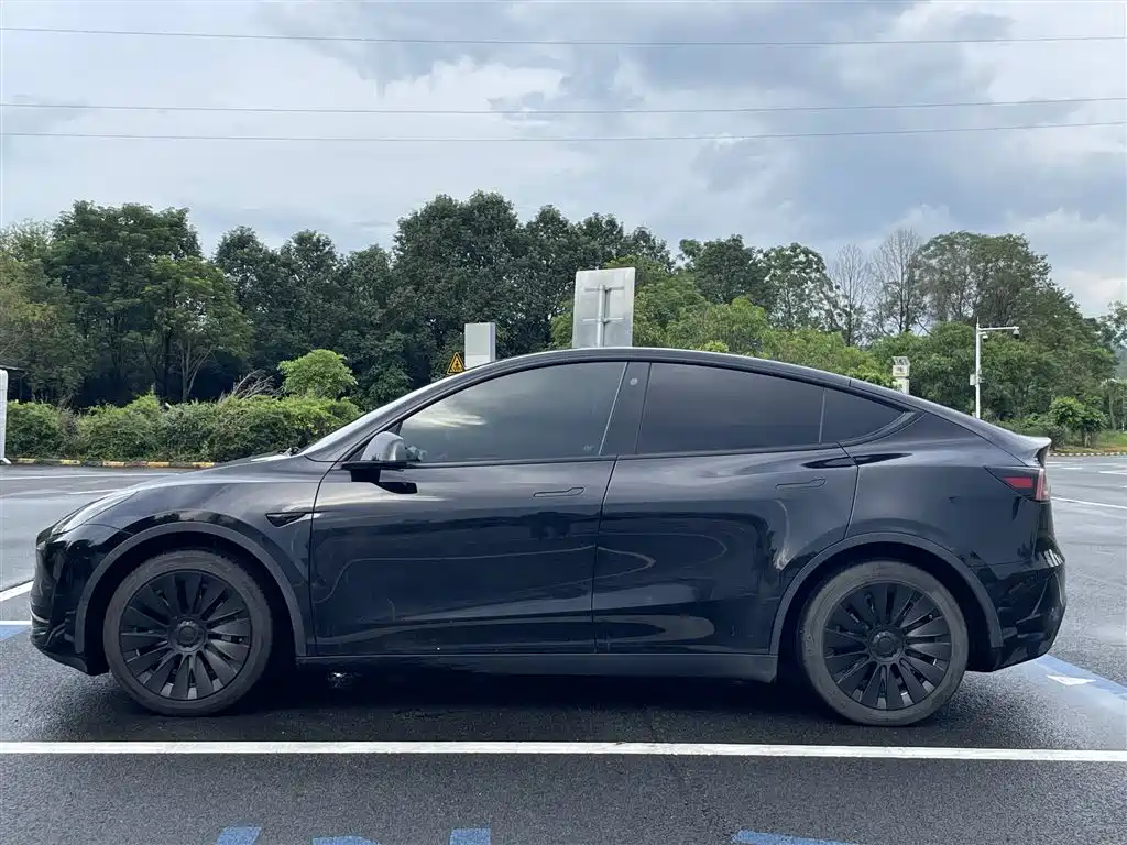 Tesla Model Y — миниатюра 3