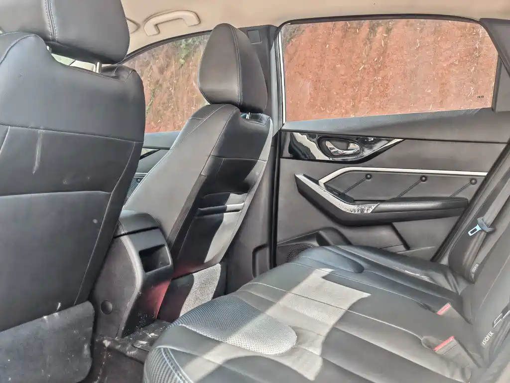 Venucia D60 EV — миниатюра 6