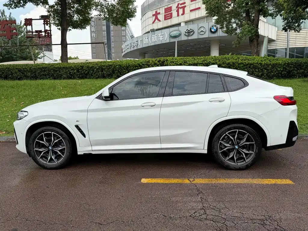 BMW X4 — миниатюра 3