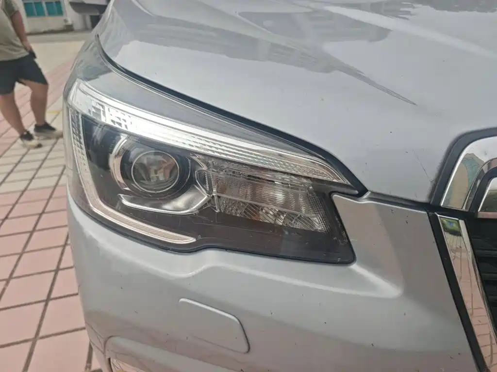 Subaru Forester — миниатюра 26