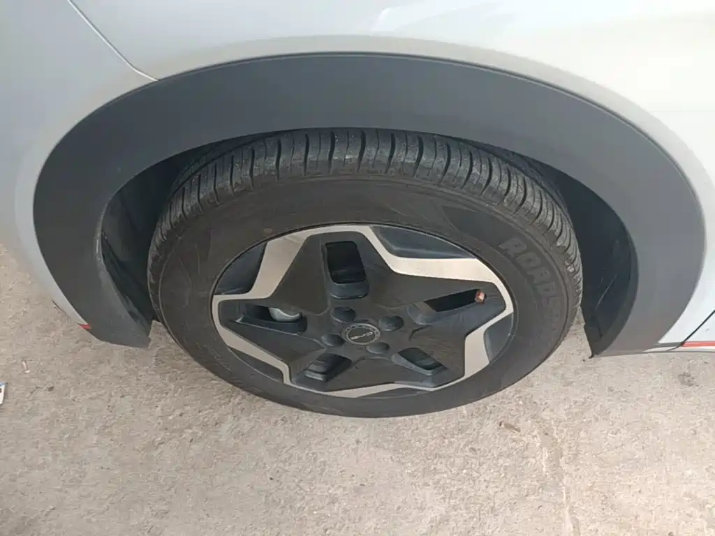 BYD Dolphin — миниатюра 23