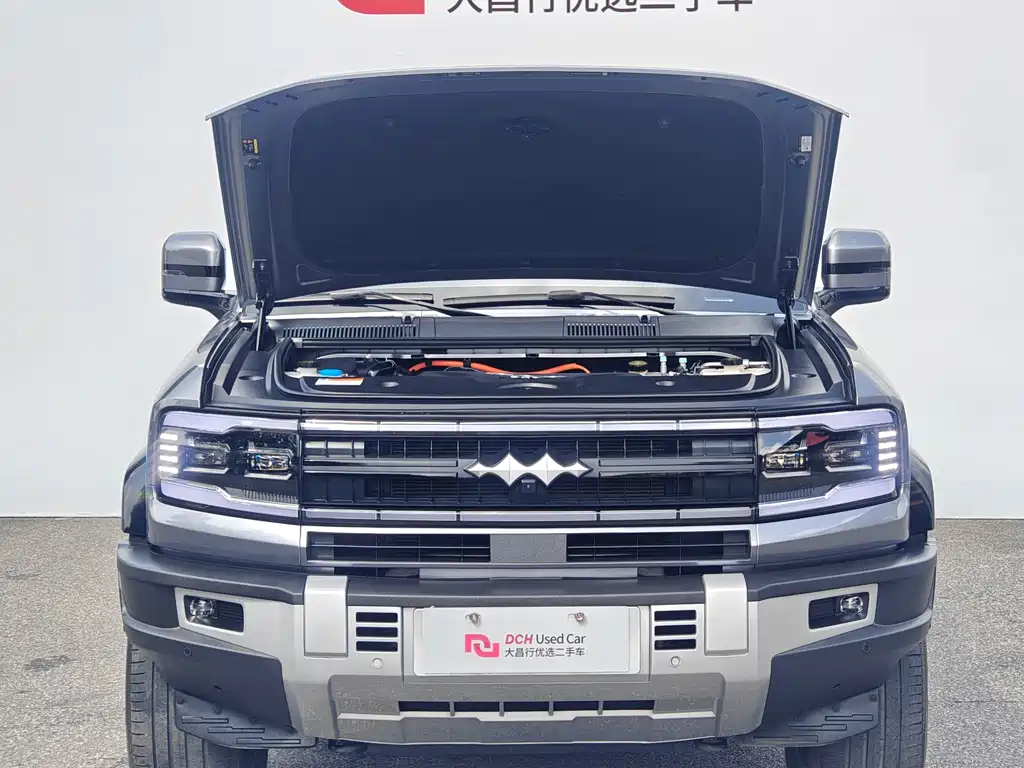 Fang Cheng Bao Leopard 5 — миниатюра 6