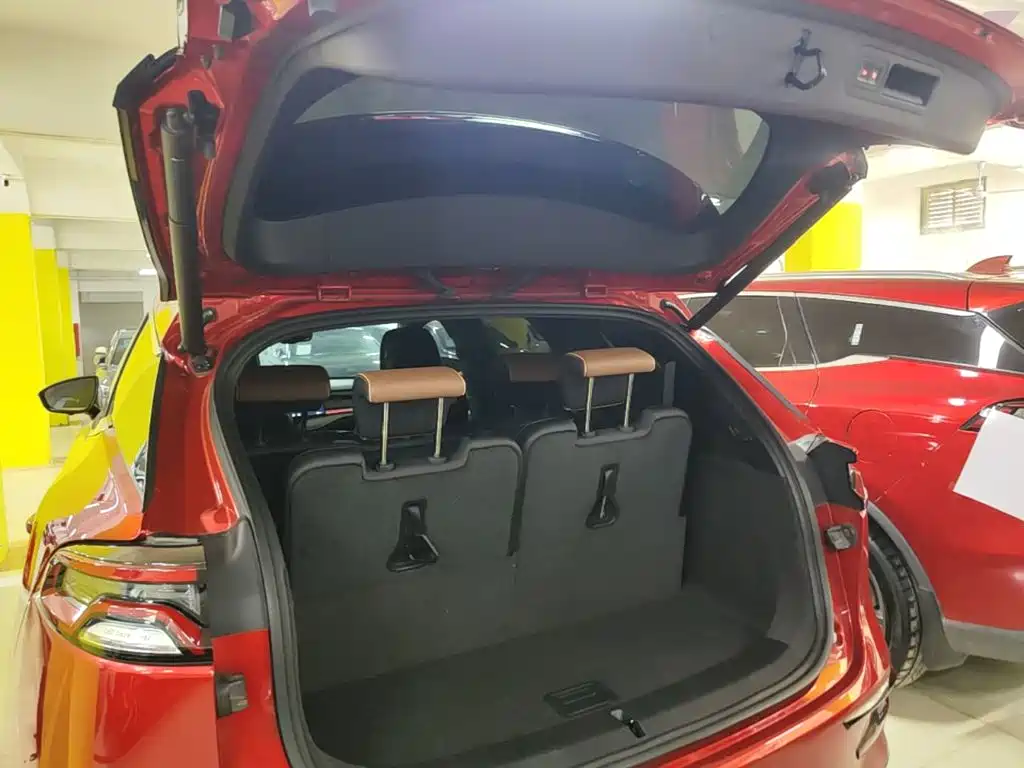 BYD Tang New Energy — миниатюра 19