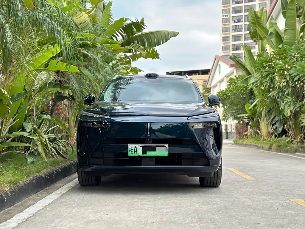 WEI PAI WEI BRAND BLUE MOUNTAIN