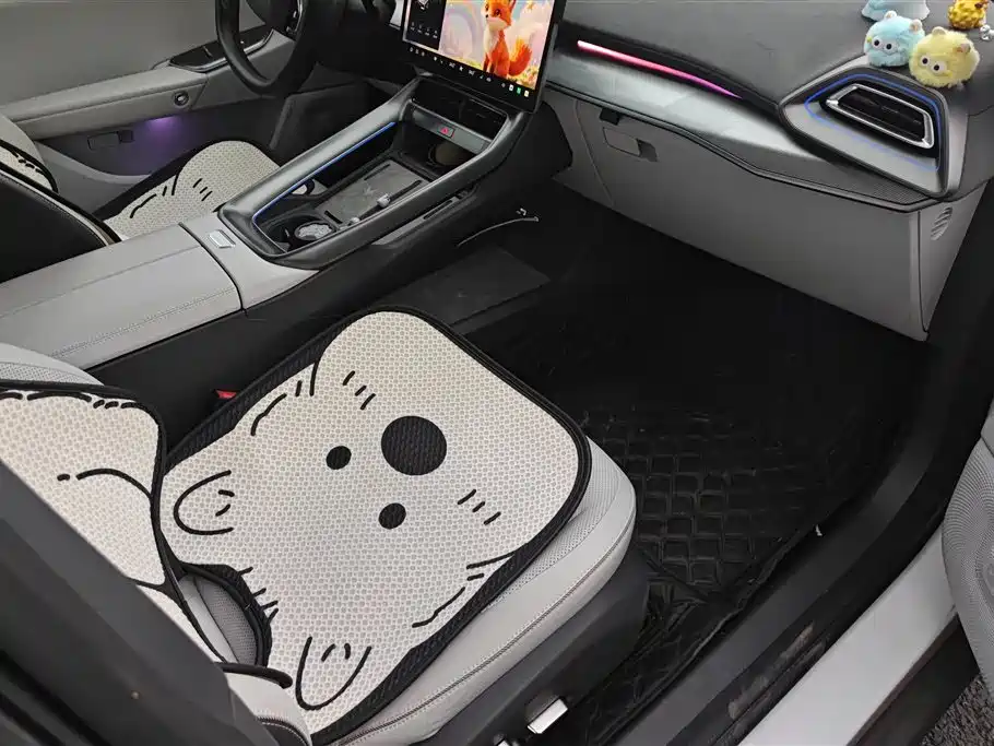 ARCFOX EXTREME FOX POLAR FOX ALPHA S5