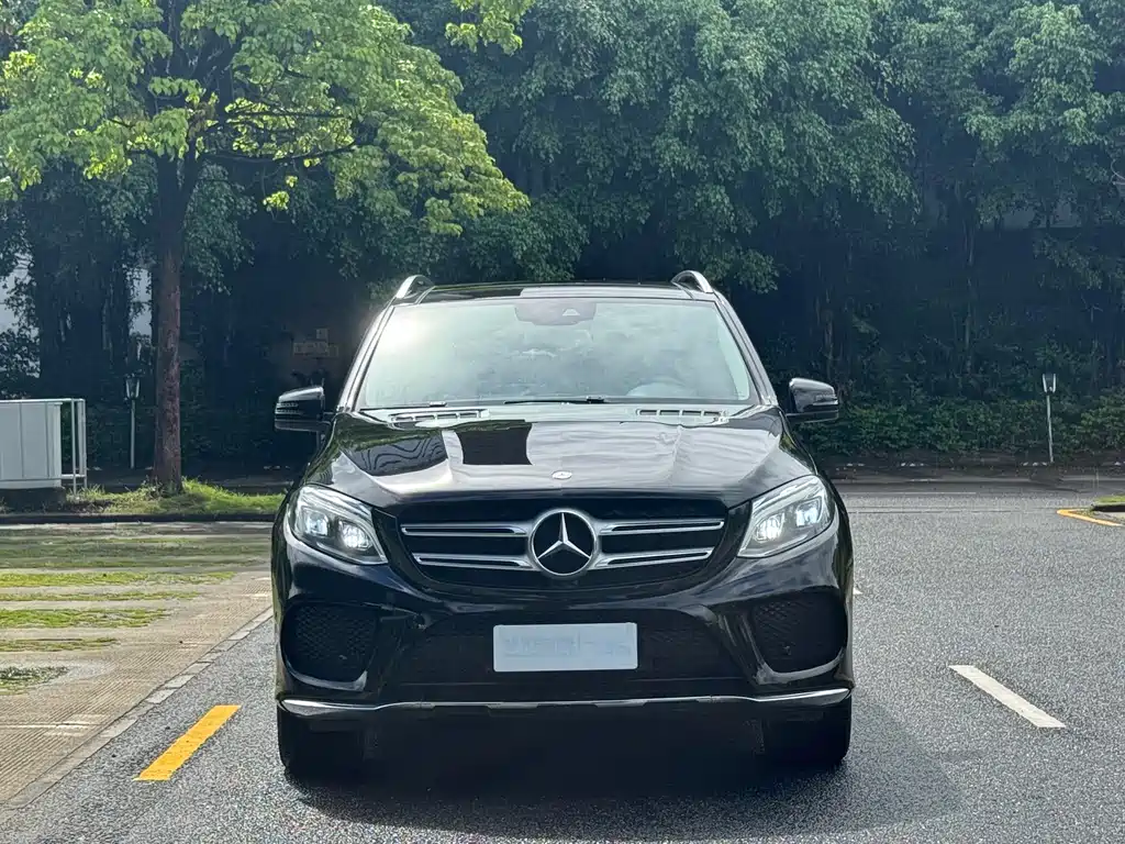 Mercedes-Benz 奔驰GLE(进口) — миниатюра 2