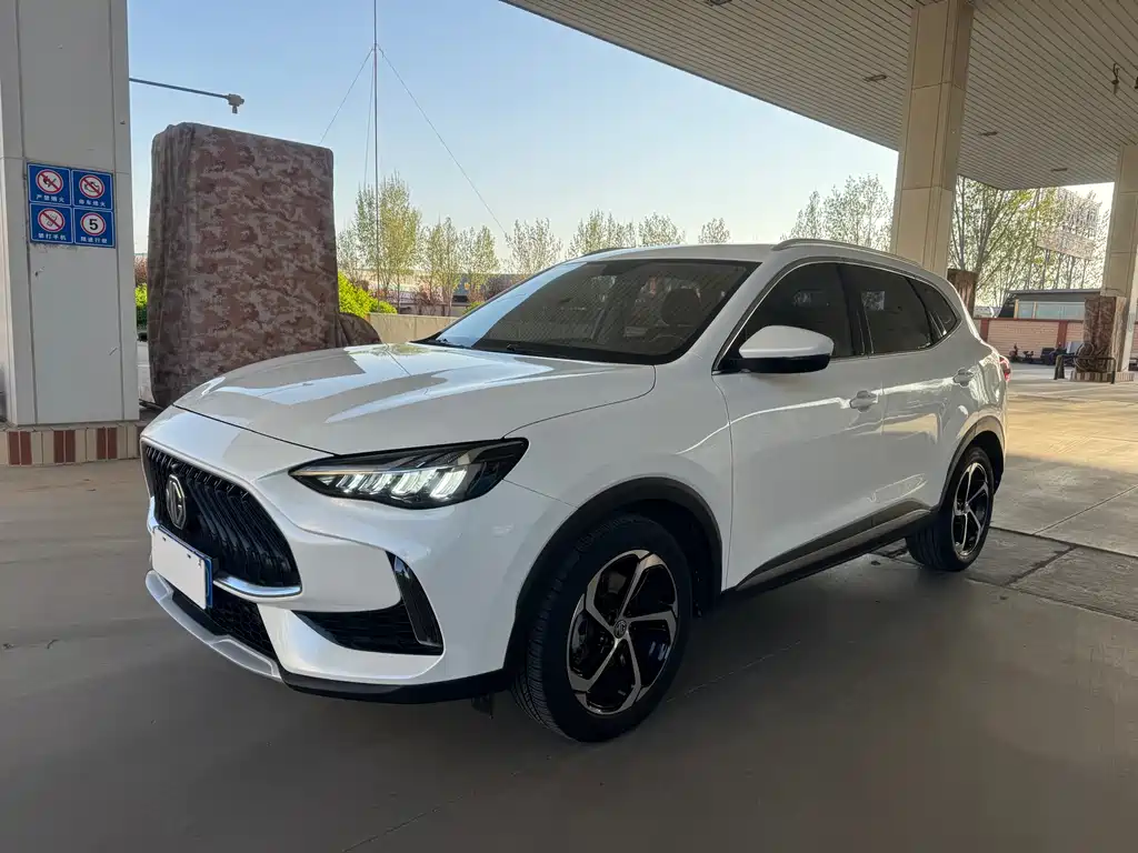Mg Pilot 2021