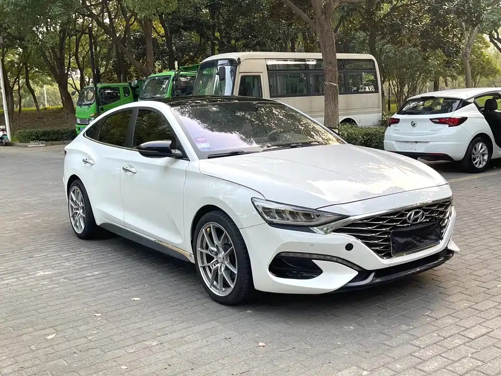 Hyundai Fista — миниатюра 3