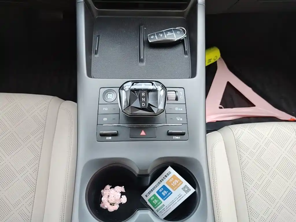 BYD Qin PLUS — миниатюра 14