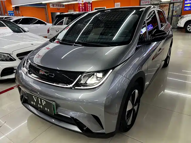 2024 BYD Dolphin