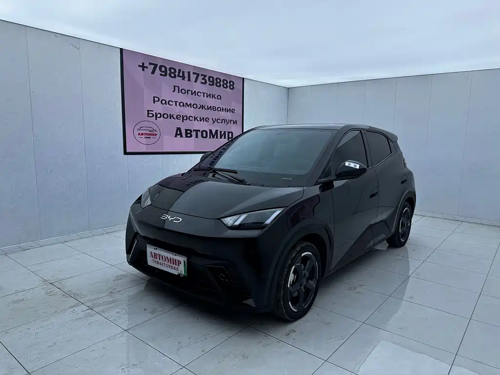 2024 BYD Seagull - zdjęcie 1 z 9
