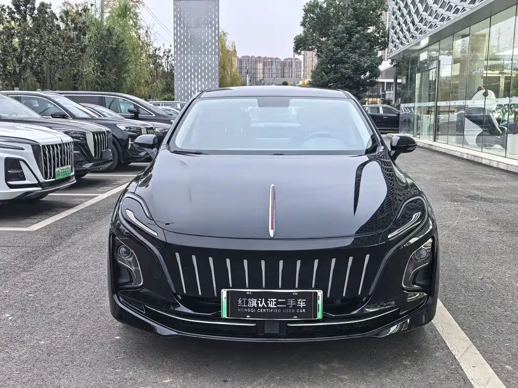 Hongqi HONGQI E QM5