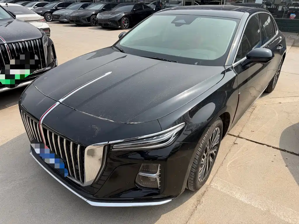 Hongqi Hongqi H5 2024