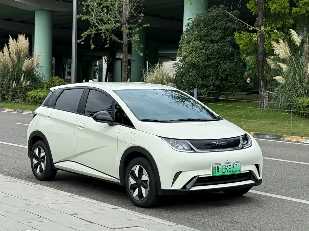 BYD Dolphin — миниатюра 3