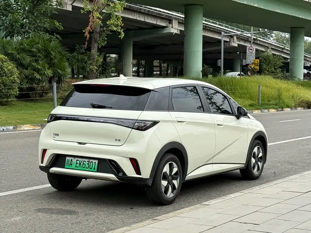 BYD Dolphin — миниатюра 12